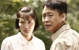 雪花那个飘电视剧全集在线观看,重温经典，感受岁月流转的温情岁月